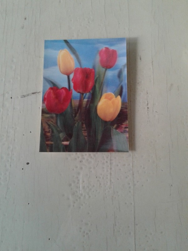 Cartoline fiori vintage