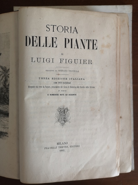 Storia delle piante Luigi Figuier Milano Treves 1882