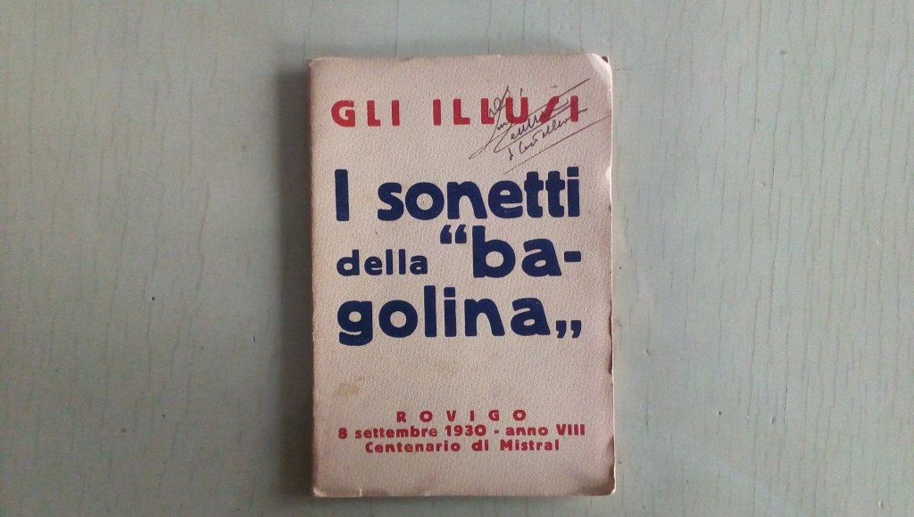 Opera/ I sonetti della "bagolina"